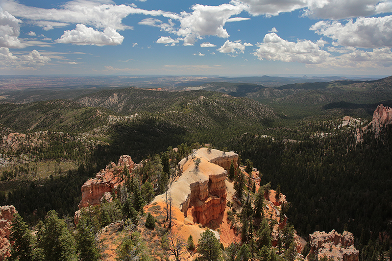 Bryce Canyon : Utah : Landscape Photos : Richard Moore : Photographer